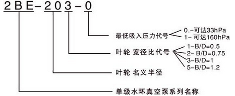 水環式真空泵